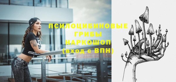 трава Богородицк