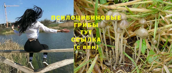 соль курить ск Богданович