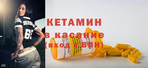 амф Ельня