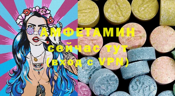 крисы Бронницы