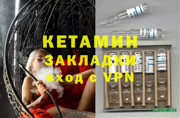 крисы Бронницы
